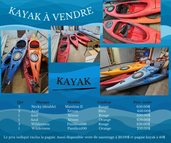 kayak à vendre